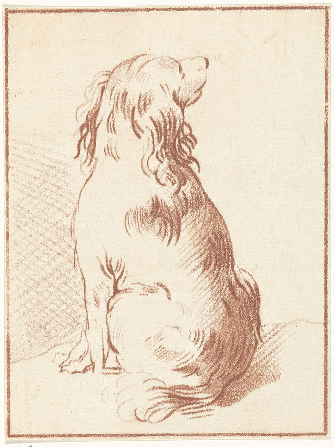 674x900 Sitting Dog, Bernhard Schreuder, Aert Schouman Drawing - Sitting Dog Drawing