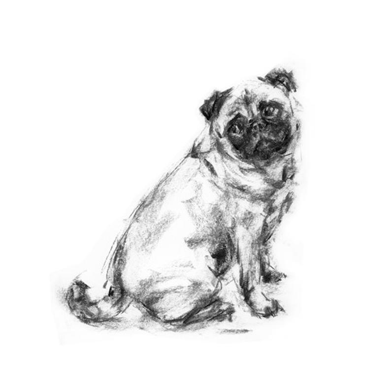 794x794 Dog Drawing Print Sitting Pug Drawing Fine Art Dog Print Etsy - Sitting Dog Drawing