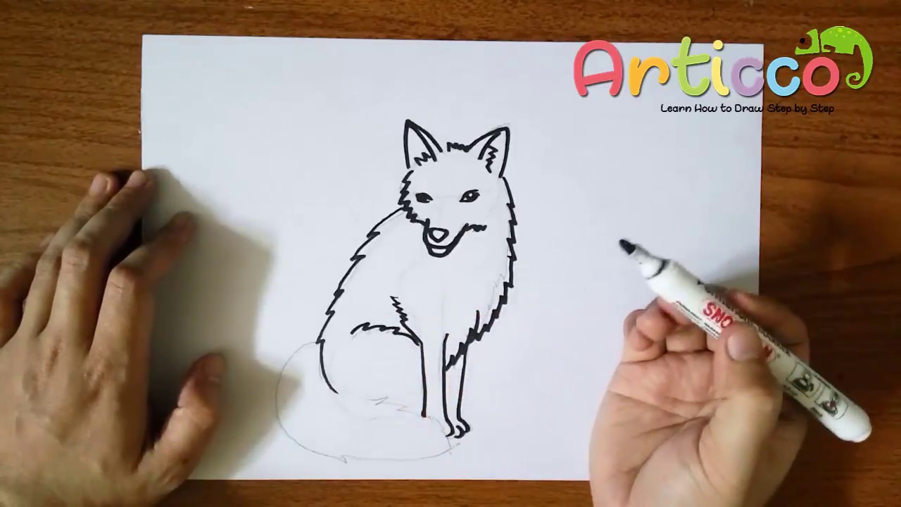 1280x720 How To Draw A Realistic Sitting Fox Step - Sitting Fox Drawing
