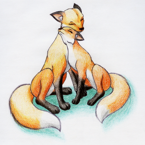 Sitting Fox Drawing at Explore collection of