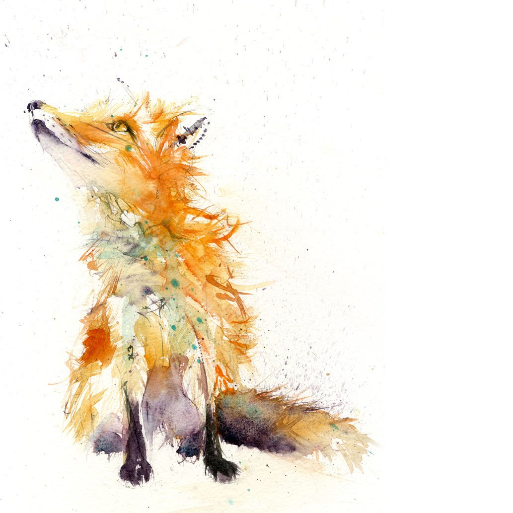 1033x1033 Limited Editon Print 'sitting Red Fox' - Sitting Fox Drawing
