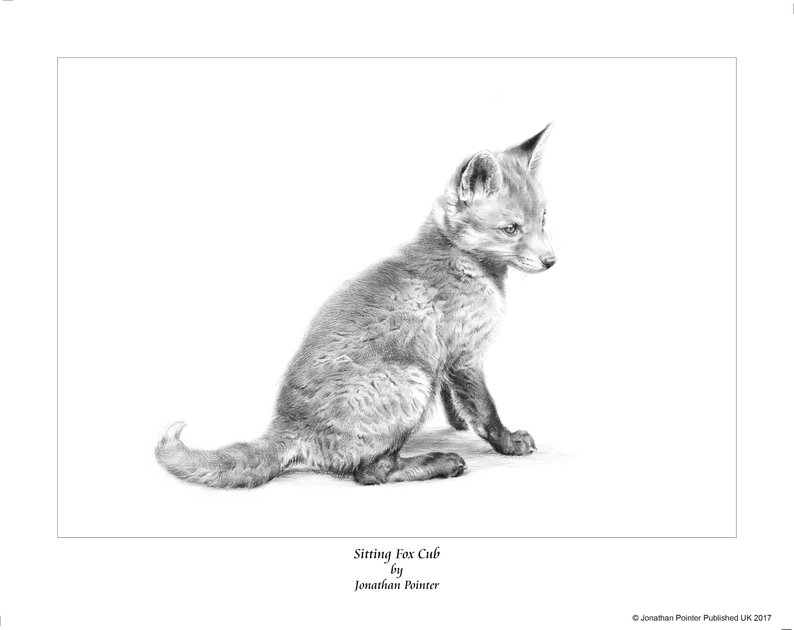 794x630 limited edition print sitting fox cub foxcub etsy - Sitting Fox Drawing