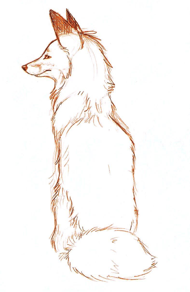 788x1210 Sitting Red Fox - Sitting Fox Drawing