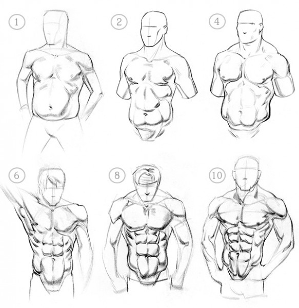 Six Pack Abs Drawing at PaintingValley.com | Explore collection of Six