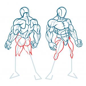 302x302 how to draw muscles, step - Six Pack Abs Drawing