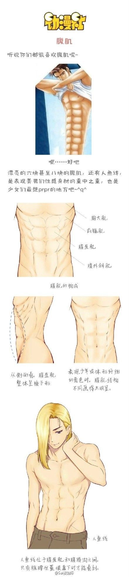 440x1962 how to draw a six pack - Six Pack Abs Drawing