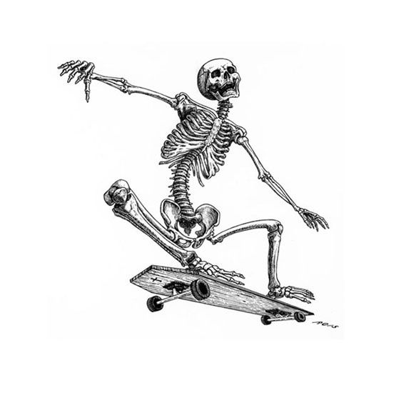 576x557 sensible rita skeleton riding a coffin skateboard - Skateboard Drawing Pictures