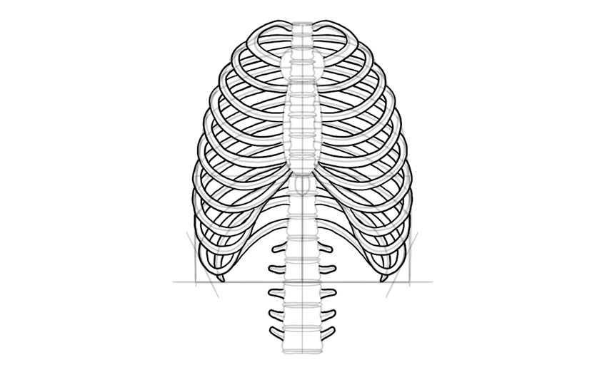 skeletal system draw