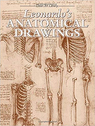 375x499 Leonardo's Anatomical Drawings - Skeleton Anatomy Drawing