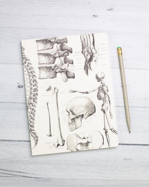 480x600 skeleton anatomy softcover notebook - Skeleton Anatomy Drawing