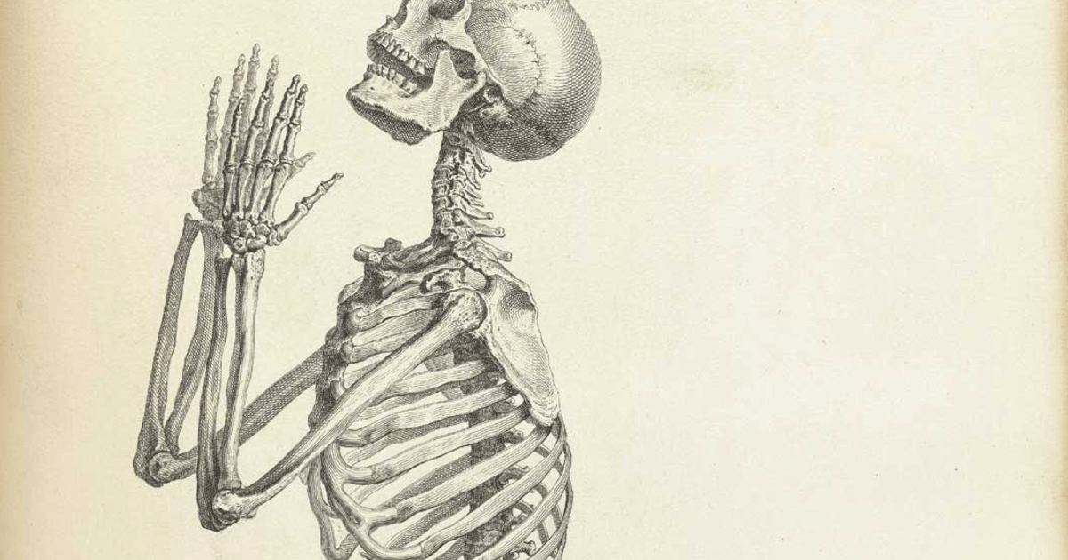1200x630 fantastic vintage anatomy drawings popular science - Skeleton Anatomy Drawing