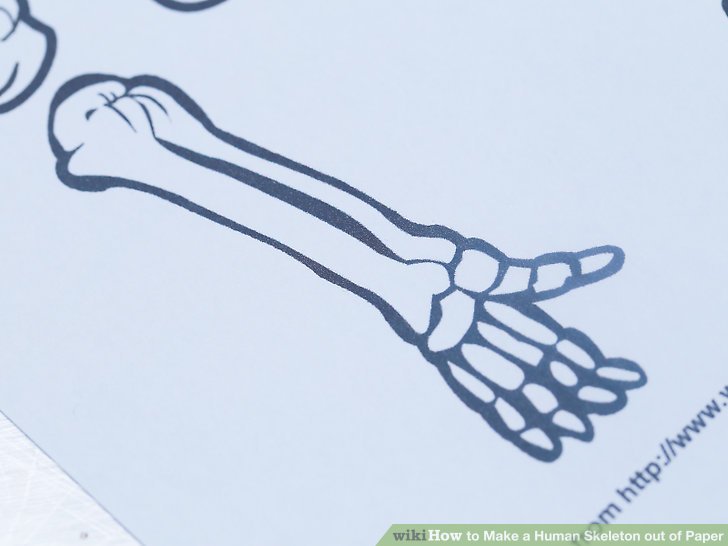 728x546 How To Make A Human Skeleton Out Of Paper Steps - Skeleton Arm Drawing
