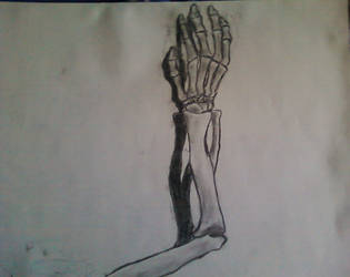 315x250 Skeleton Arm Sketch - Skeleton Arm Drawing