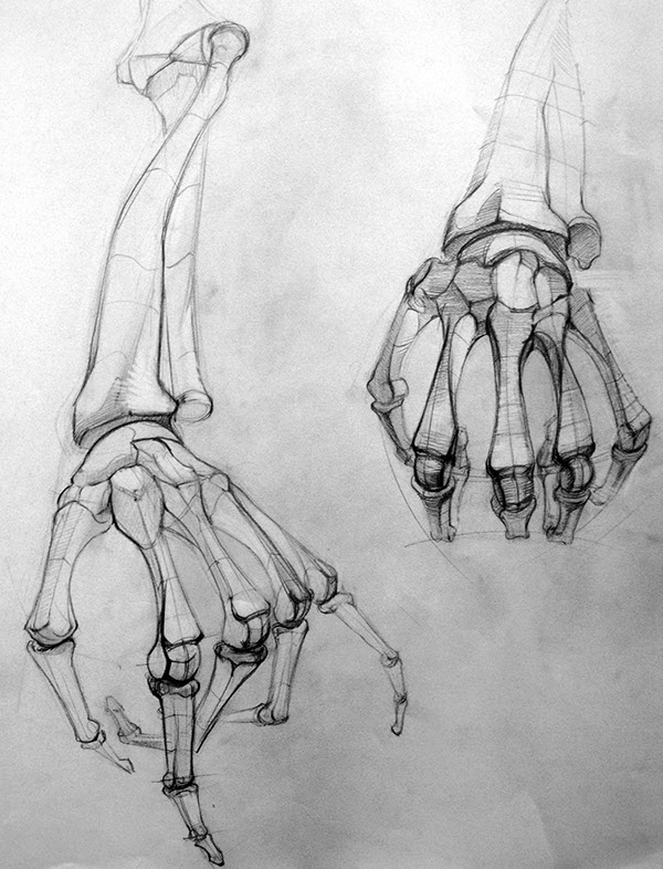 600x786 Some Painting And Drawings On Behance - Skeleton Arm Drawing