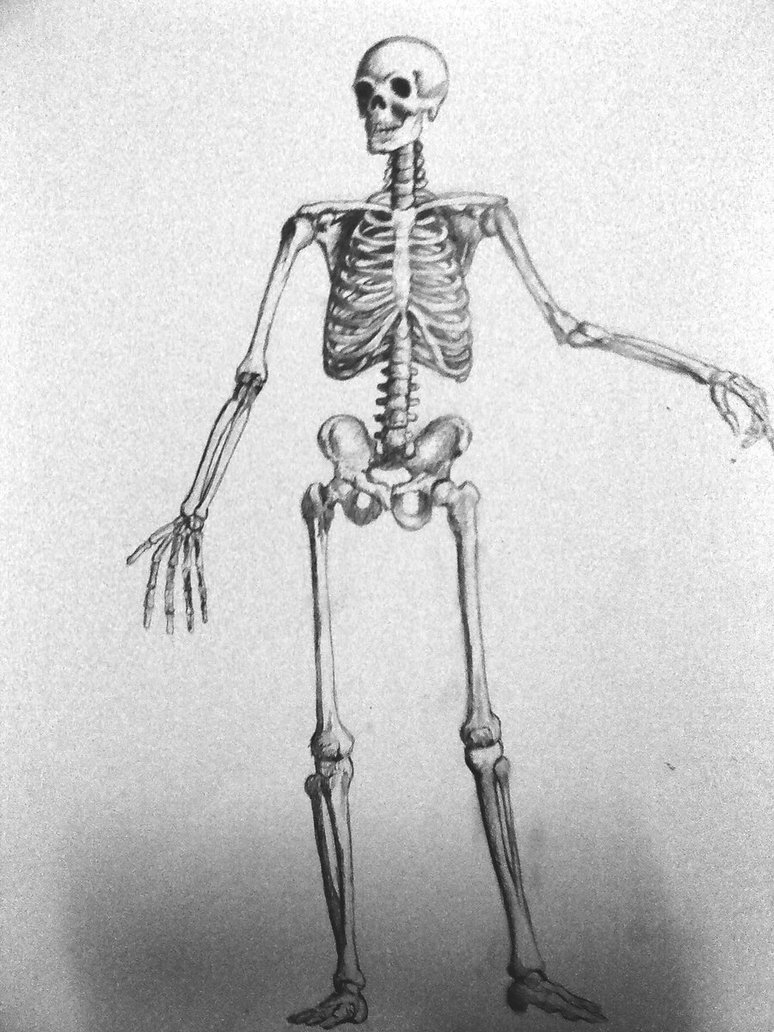 Skeleton Drawing Halloween at PaintingValley.com | Explore collection ...