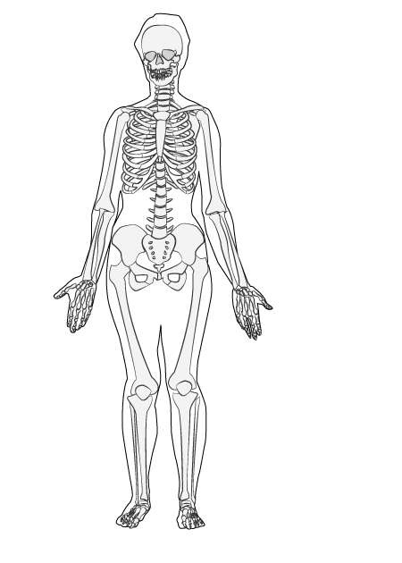 450x630 Collection Of Free Bone Drawing Skeleton Download On Ui Ex - Skeleton Body Drawing