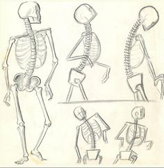 236x241 best skeleton poses images skeletons, bones, drawing people - Skeleton Body Drawing
