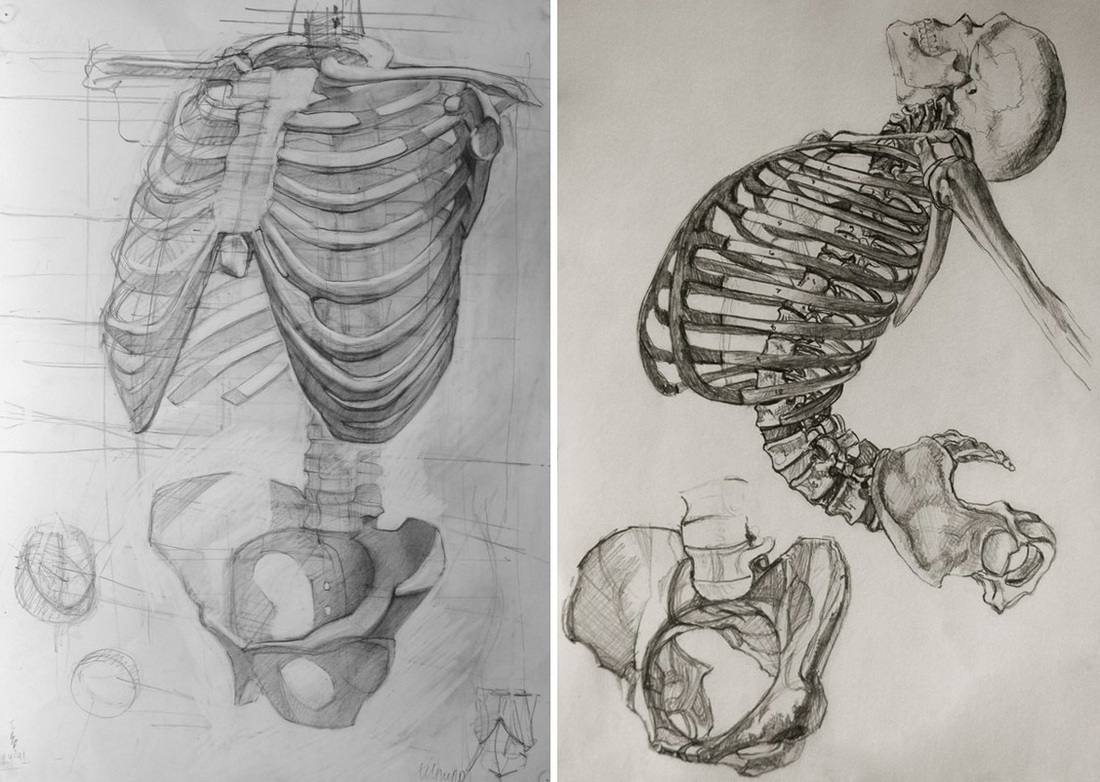 1100x782 Art Figure - Skeleton Body Drawing