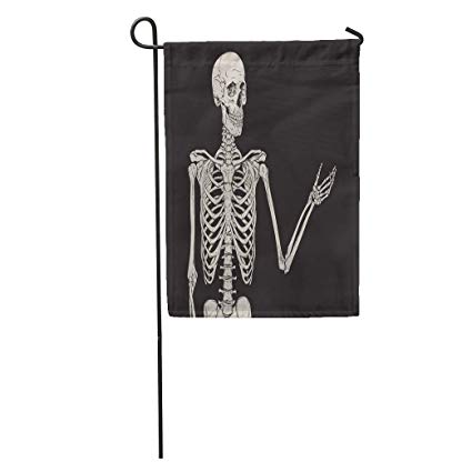 425x425 semtomn garden flag hand human skeleton posing over - Skeleton Body Drawing