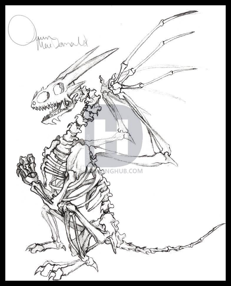 785x971 Easy To Draw Dragon Skeleton, Step - Skeleton Dragon Drawing