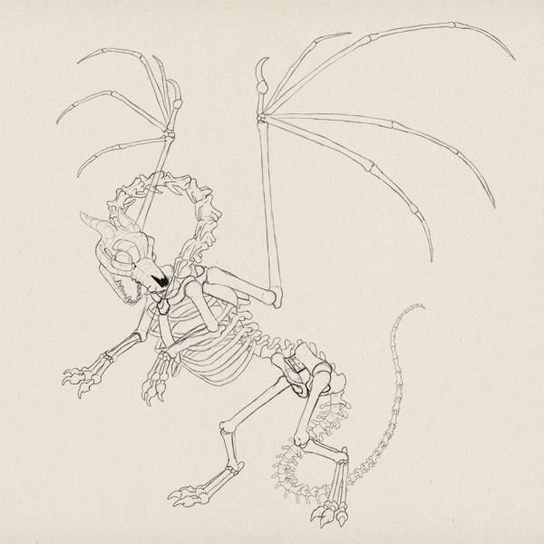 600x600 How To Draw A Skeleton Dragon - Skeleton Dragon Drawing