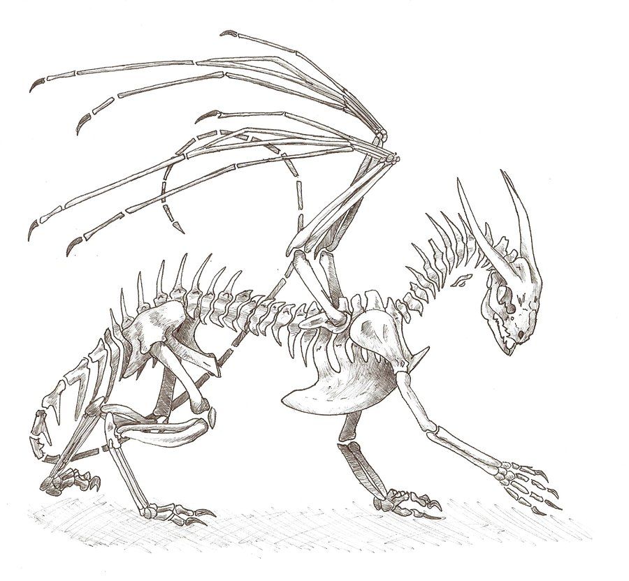 900x832 Random Dragon Skeleton - Skeleton Dragon Drawing