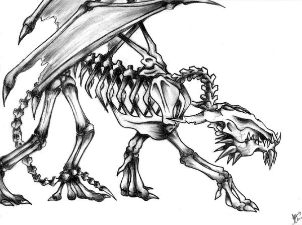Skeleton Dragon Drawing At Explore Collection Of Skeleton Dragon Drawing 