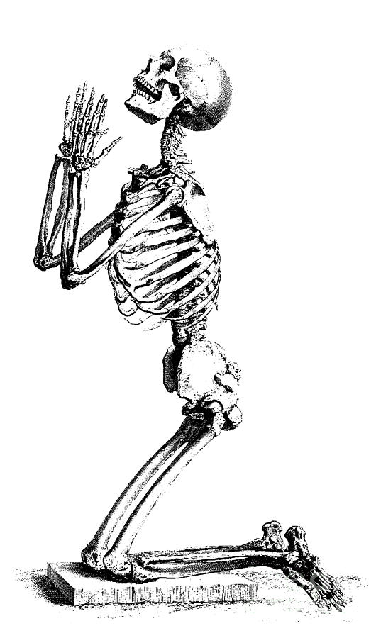 530x900 Praying Skeleton Drawing - Skeleton Drawing