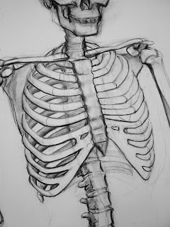 240x320 Sketchkapp Skeleton Drawings - Skeleton Drawing