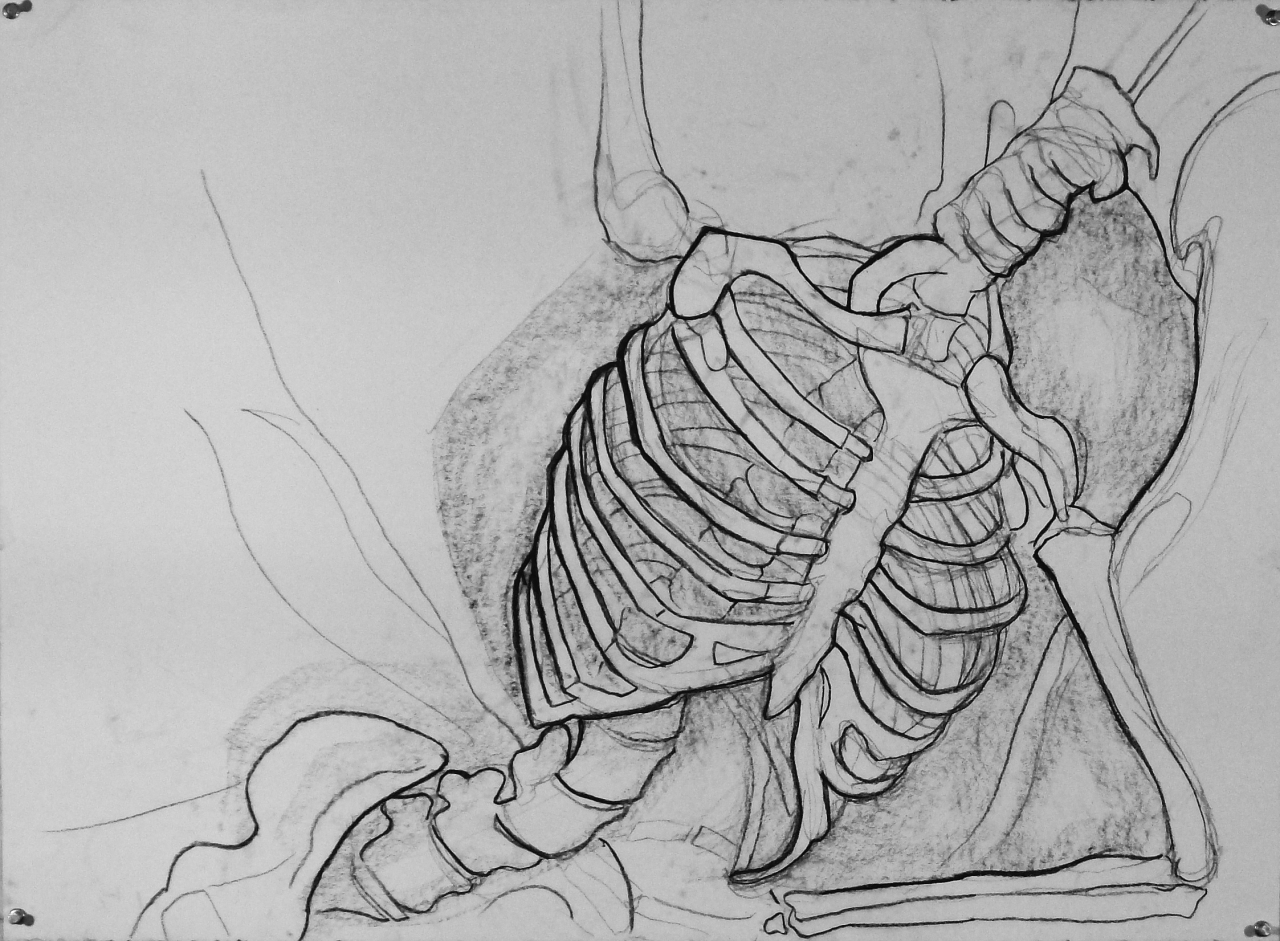 1280x941 Bethel Intro To Drawing In Class Examples Of Skeleton Drawings - Skeleton Drawing