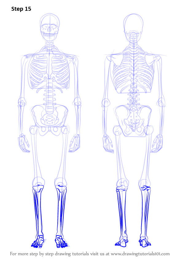 596x842 Learn How To Draw A Skeleton - Skeleton Drawing Easy