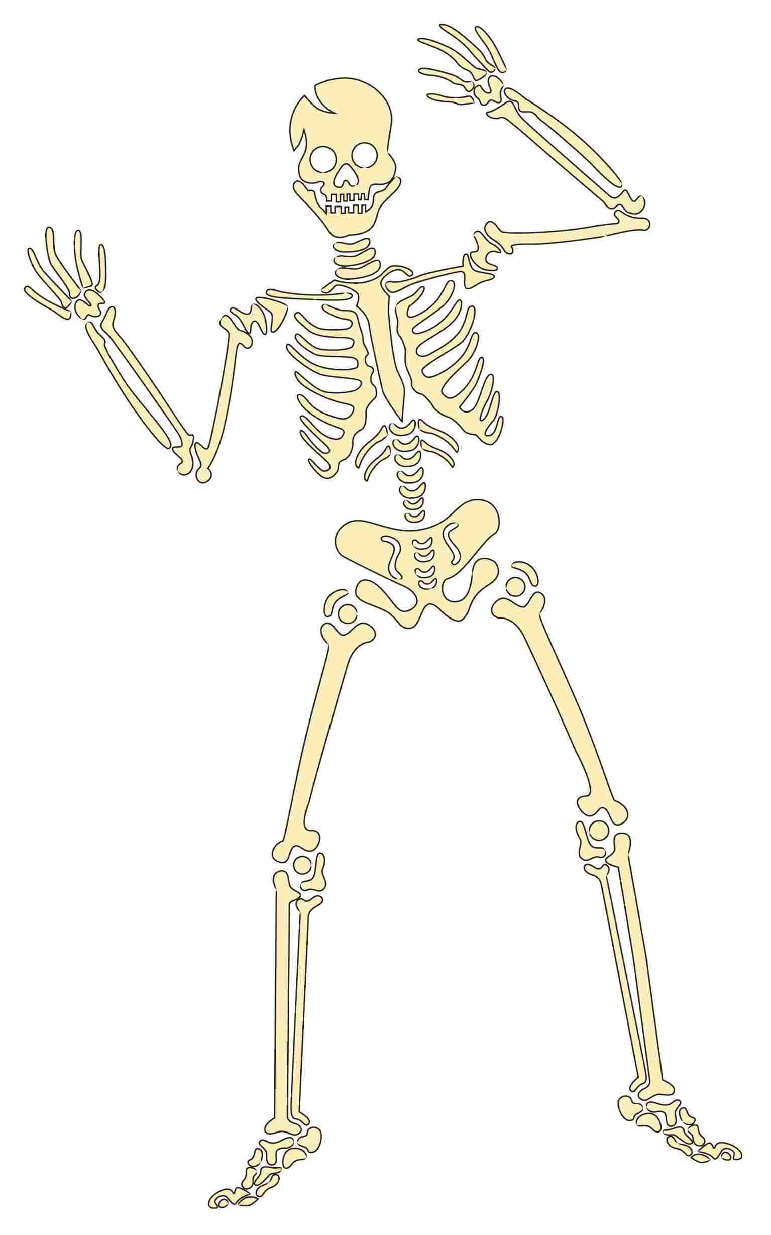 1535x2458 Pencil Skeleton Skull To Draw Easy - Skeleton Drawing Easy. 