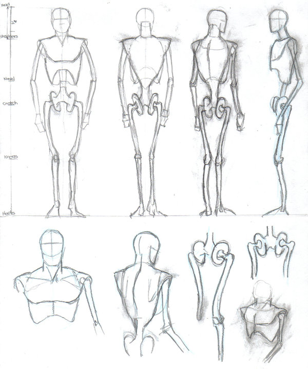 600x718 Skeleton Drawing Free Download - Skeleton Drawing Easy