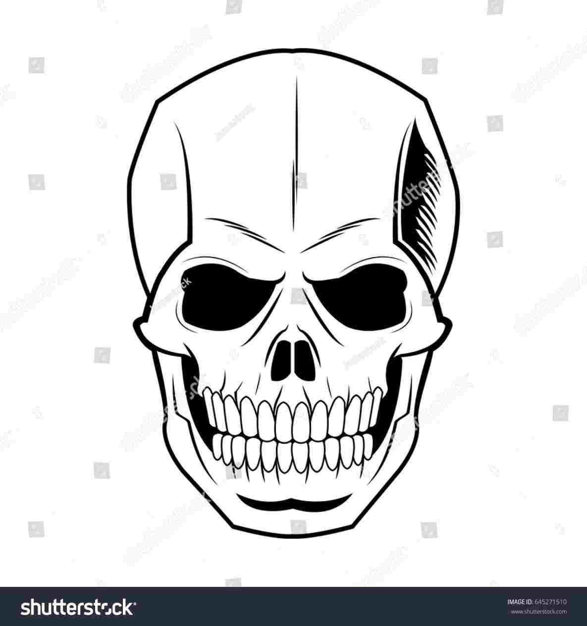1185x1264 rhdrawingzorocom head skeleton bones drawing easy skeleton drawing - Skeleton Drawing Easy
