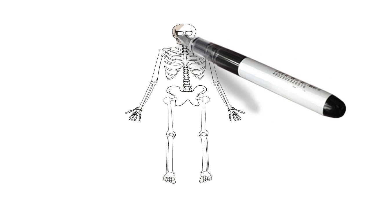 1280x720 How To Draw Full Body Human Skeleton Drawing For Kids Step - Skeleton Drawing For Kids