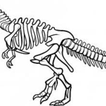 220x220 how to draw how to draw a dinosaur skeleton, dinosaur skeleton - Skeleton Drawing For Kids