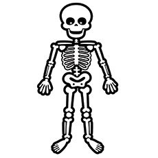 230x230 Image Result For Day Of The Dead Skeleton Coloring - Skeleton Drawing For Kids