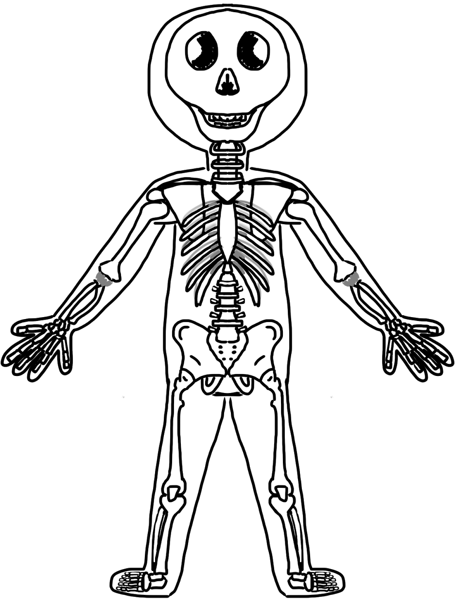 936x1248 skeletons drawing kid transparent png clipart free download - Skeleton Drawing For Kids