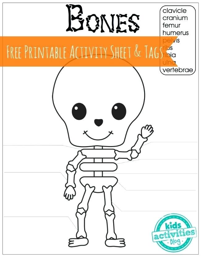 650x834 Skeleton Printable Worksheets - Skeleton Drawing For Kids