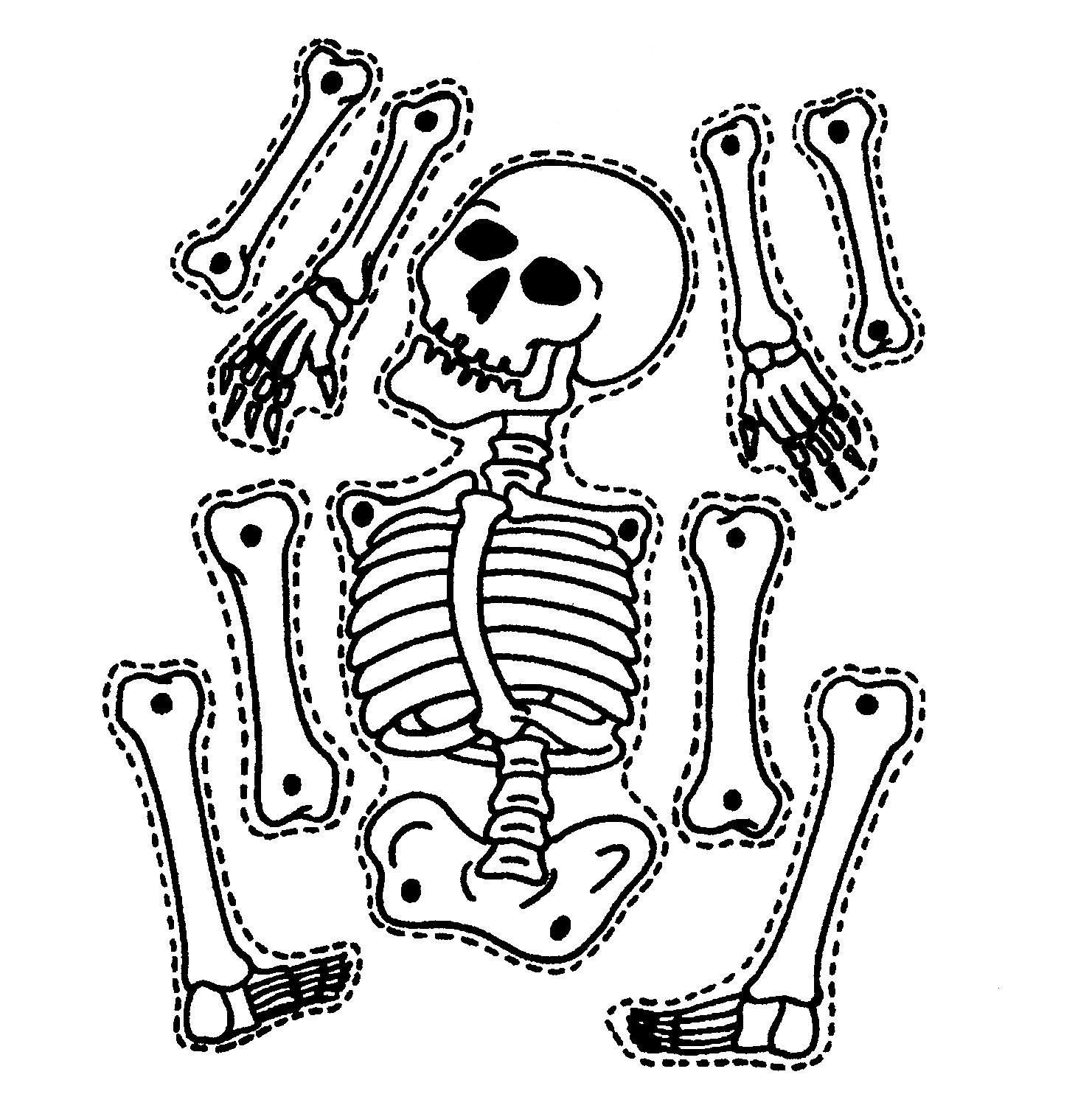 1481x1484 Halloween Pictures For Kids Skeleton Crafts And Arts - Skeleton Drawing Halloween