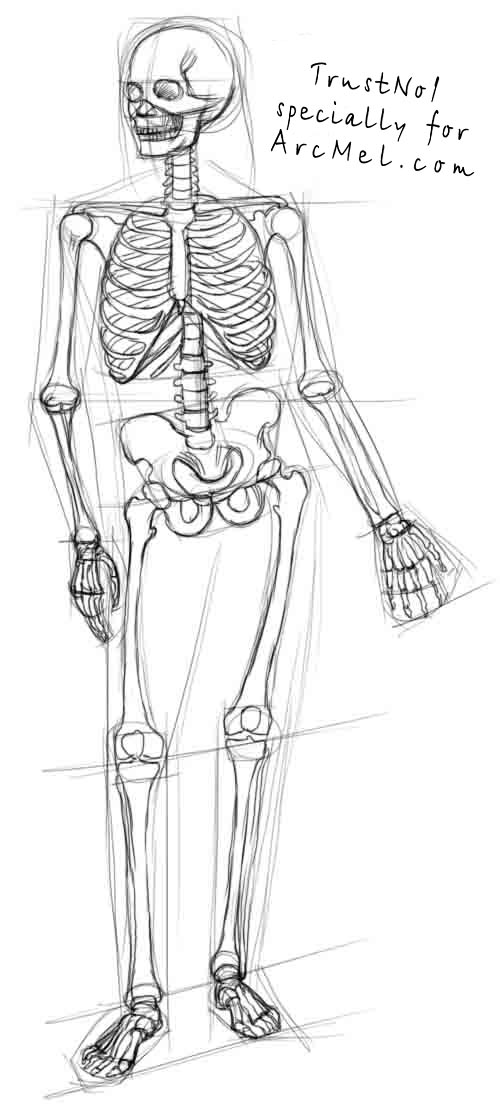 500x1106 How To Draw A Skeleton Step - Skeleton Drawing Step By Step