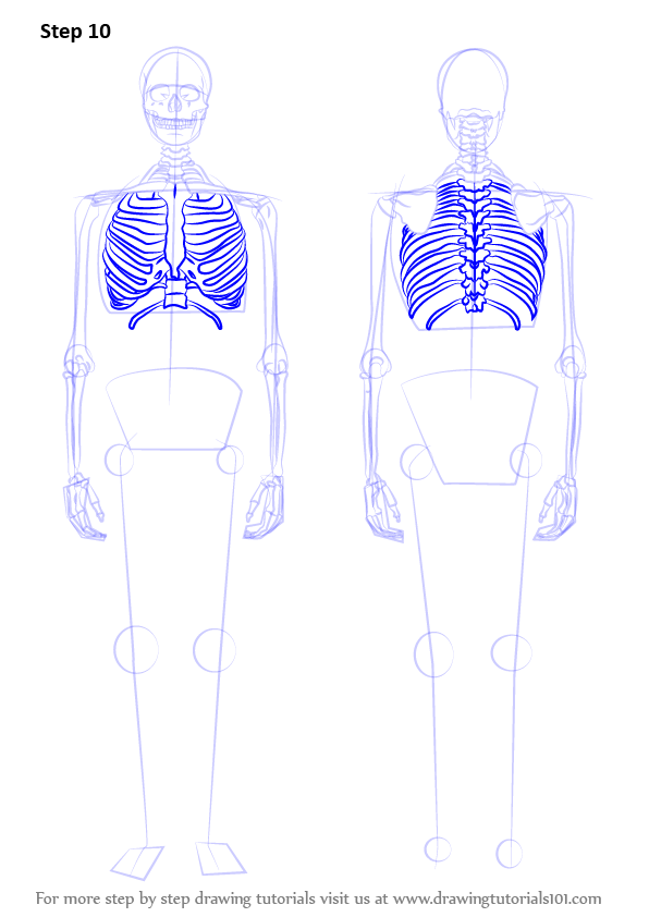 596x842 Learn How To Draw A Skeleton - Skeleton Drawing Step By Step