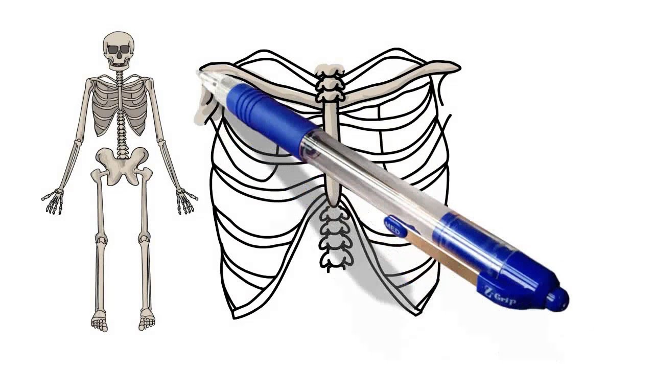 1280x720 Learn How To Draw A Skeleton In Easy Step - Skeleton Drawing Step By Step