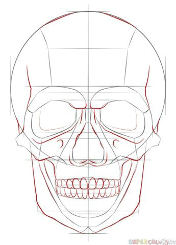 345x478 Drawing Easy Skeleton How To Draw A Human Skull Step - Skeleton Drawing Step By Step