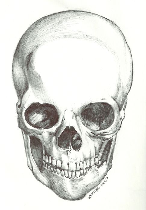 485x700 Half Skull Half Face Tumblr Drawing Celebrity Face's Skull Tell - Skeleton Face Drawing