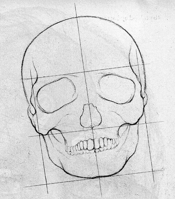 565x640 How To Draw A Skeleton Step - Skeleton Face Drawing