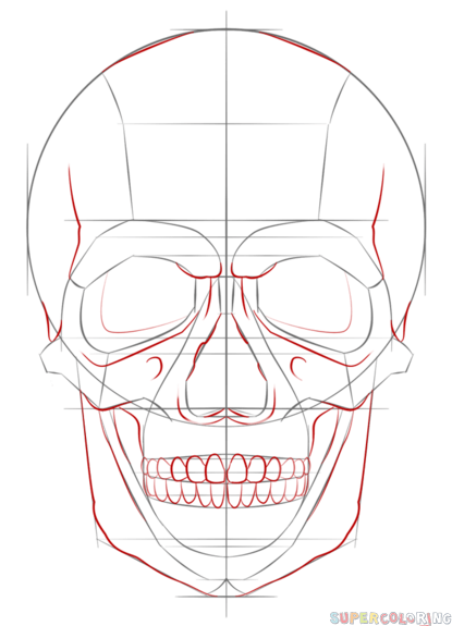 415x575 How To Draw A Human Skull Step - Skeleton Face Drawing