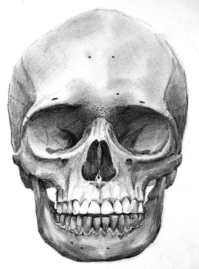 758x1024 Images Of Skeleton Faces Art - Skeleton Face Drawing