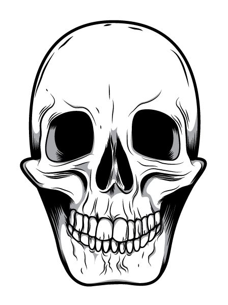 448x600 Skeleton Face Clip Art Mean Skull Drawings Good Ideas - Skeleton Face Drawing