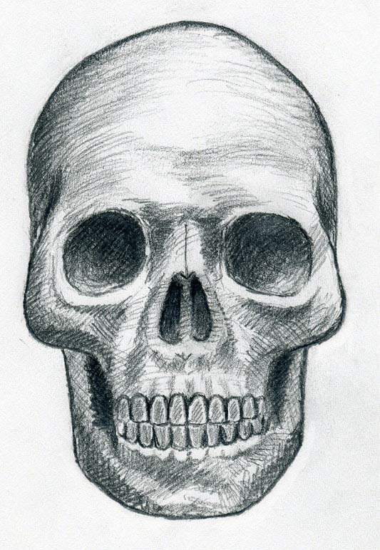 533x772 Draw Skulls Can Be This Easy - Skeleton Face Drawing